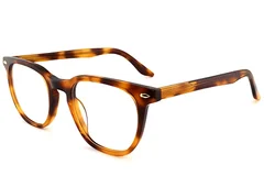 BS2012-2192_Tortoiseshell_Rectangular_Acetate_Glasses_corner