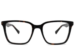 BS2012-2455_Tortoiseshell_Rectangular_Acetate_Glasses_corner-front