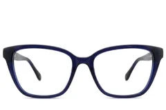 BS2012-2467_Blue_Butterfly_Acetate_Glasses_corner-front