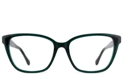 BS2012-2469_Green_Butterfly_Acetate_Glasses_front