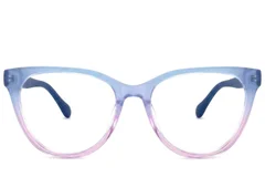BS2012-2478_Blue_Butterfly_Acetate_Glasses_corner-front
