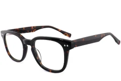 BS2012-2495_Tortoiseshell_Rectangular_Acetate_Glasses_corner