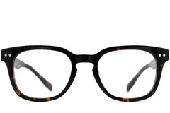 BS2012-2495_Tortoiseshell_Rectangular_Acetate_Glasses_front