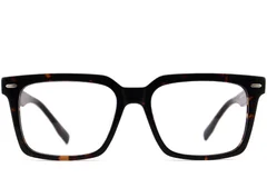 BS2012-2503_Tortoiseshell_Rectangular_Acetate_Glasses_front