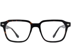 BS2012-2520_Tortoiseshell_Rectangular_Acetate_Glasses_front