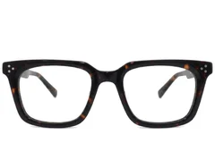 BS2012-2534_Tortoiseshell_Rectangular_Acetate_Glasses_corner-front