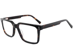 BS2012-2539_Tortoiseshell_Rectangular_Acetate_Glasses_corner