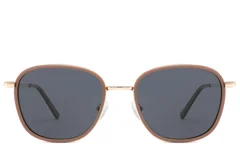 BS2012-2747_Brown_Rectangular_Metal_Sunglasses_front