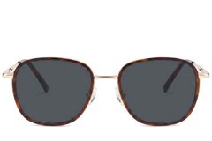 BS2012-2749_Tortoiseshell_Rectangular_Metal_Sunglasses-front