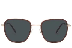 BS2012-2753_Brown_Geometric_Metal_Sunglasses-front