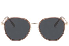 BS2012-2755_Brown_Geometric_Metal_Sunglasses-front