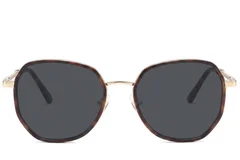 BS2012-2757_Tortoiseshell_Geometric_Metal_Sunglasses-front