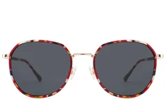 BS2012-2763_Tortoiseshell_Oval_Metal_Sunglasses_front