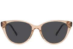 BS2012-2773_Brown_Butterfly_Acetate_Sunglasses-front