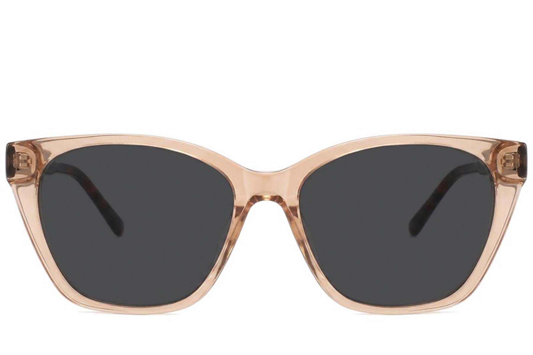 BS2012-2780_Brown_Butterfly_Acetate_Sunglasses-front