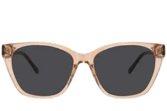 BS2012-2780_Brown_Butterfly_Acetate_Sunglasses-front