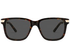 BS2012-2823_Tortoiseshell_Rectangular_Acetate_Sunglasses-front