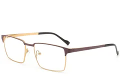 BS2012-2900_Brown_Rectangular_Metal_Glasses_corner
