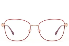 BS2012-2957_Red_Butterfly_Metal_Glasses_front