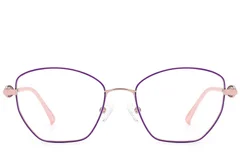BS2012-2969_Purple_Butterfly_Metal_Glasses_front