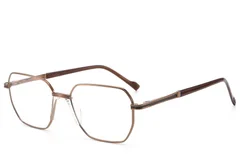 BS2012-3035_Brown_Geometric_Metal_Glasses_corner