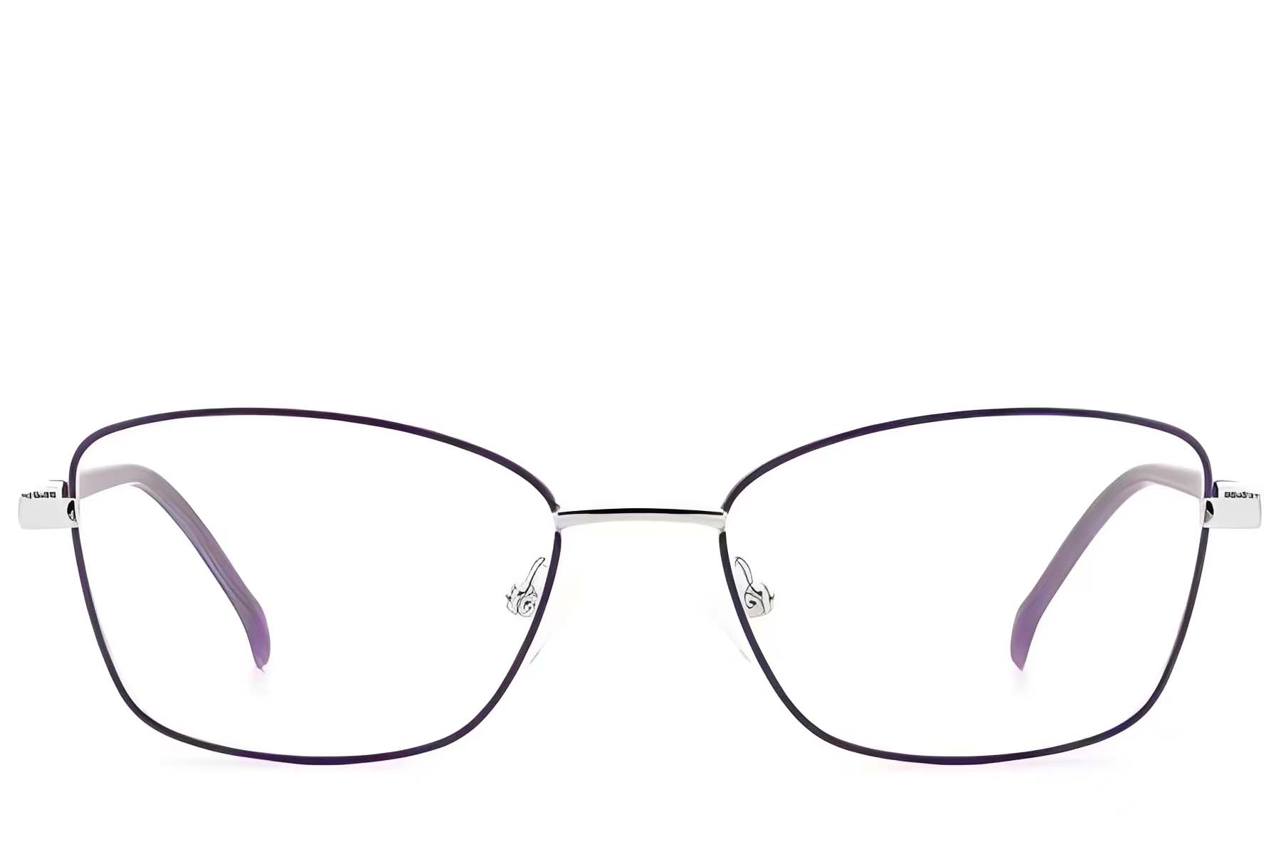 BS2012-3049_Purple_Butterfly_Metal_Glasses_front