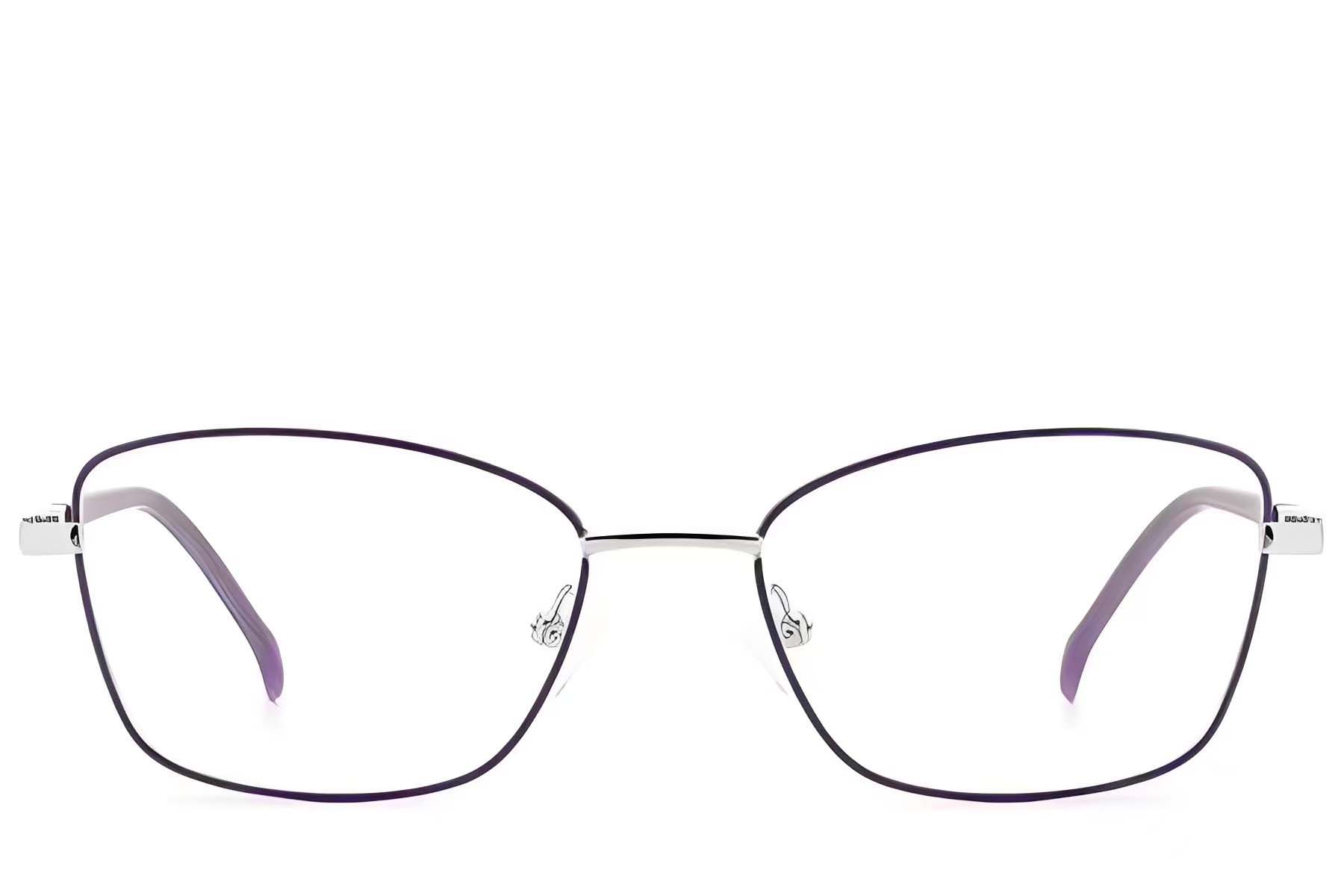 BS2012-3049_Purple_Butterfly_Metal_Glasses_front