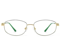 BS2012-3282_Green_Rectangular_Metal_Glasses_front