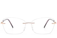 BS2012-3313_Pink_Invisible_Metal_Glasses_front
