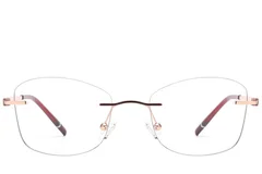 BS2012-3342_Red_Invisible_Metal_Glasses_front