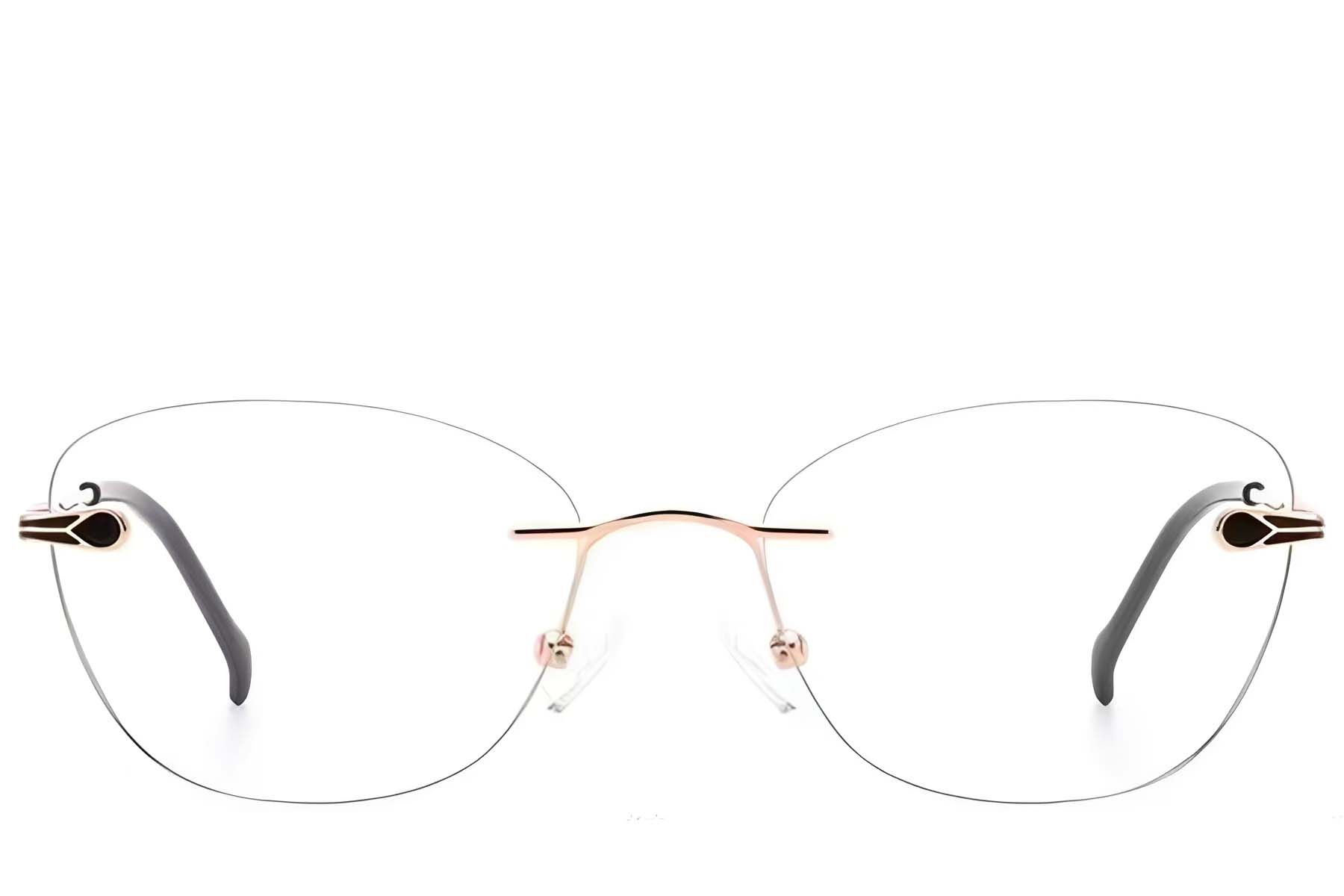 BS2012-3376_Pink_Invisible_Metal_Glasses_front