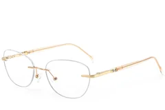 BS2012-3393_Golden_Invisible_Metal_Glasses_corner