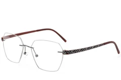 BS2012-3415_Grey_Invisible_Metal_Glasses_corner