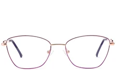 BS2012-3467_Purple_Butterfly_Metal_Glasses_front