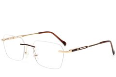 BS2012-3492_Brown_Invisible_Metal_Glasses_corner