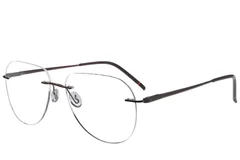 BS2012-3537_Brown_Invisible_Metal_Glasses_corner