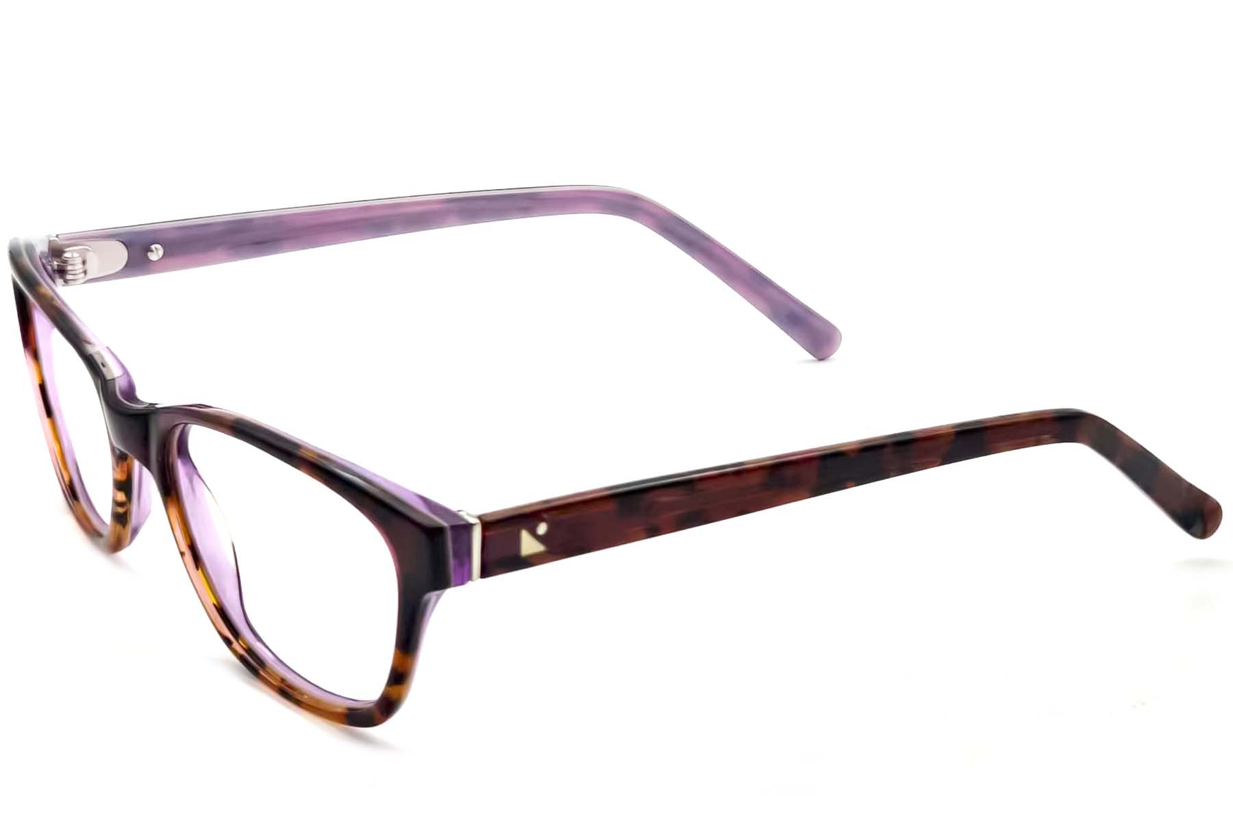 BS2012-3559_Tortoiseshell_Oval_Acetate_Glasses_corner