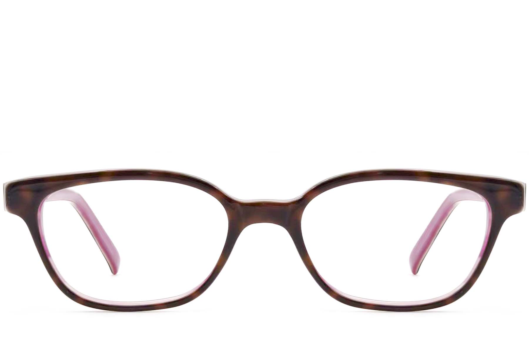 BS2012-3561_Tortoiseshell_Rectangular_Acetate_Glasses_front