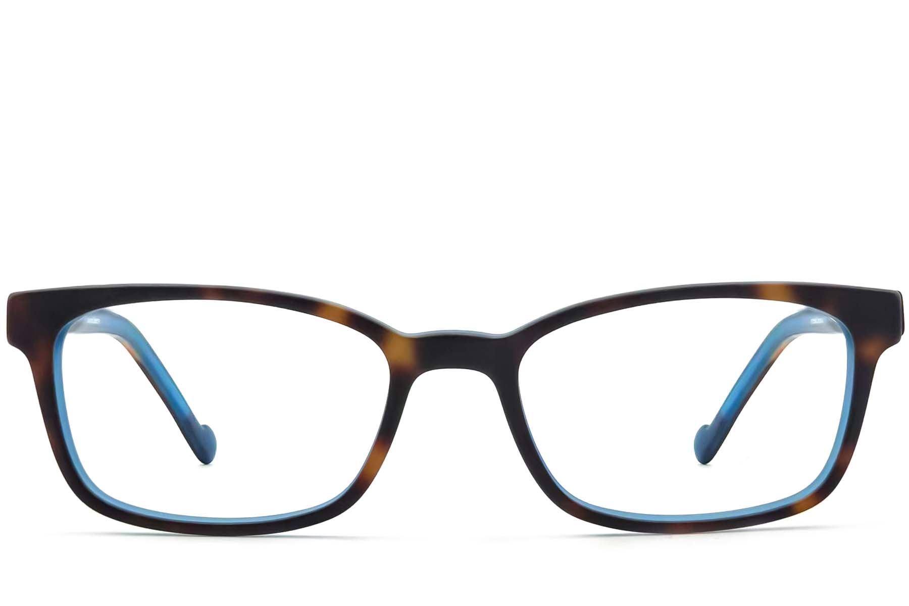BS2012-3567_Tortoiseshell_Rectangular_Acetate_Glasses_front