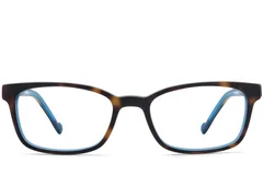 BS2012-3567_Tortoiseshell_Rectangular_Acetate_Glasses_front