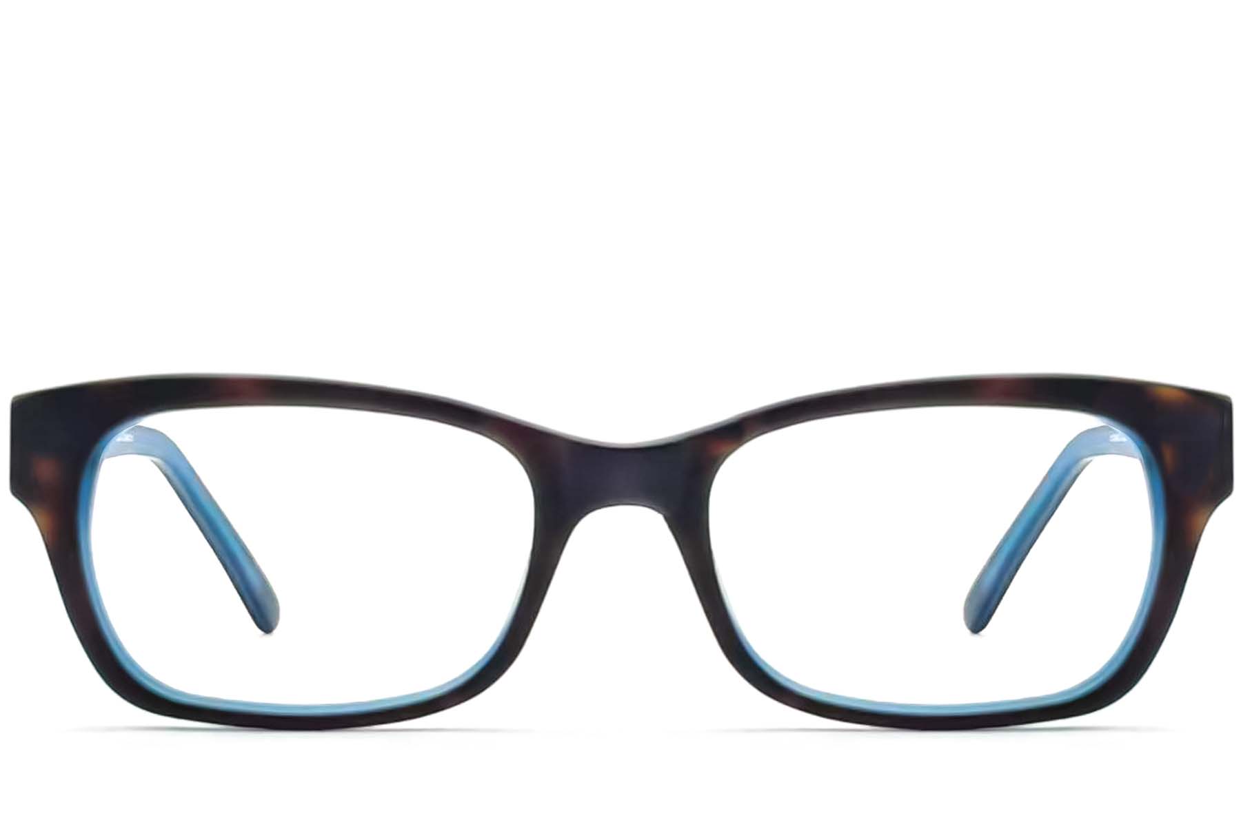 BS2012-3572_Tortoiseshell_Butterfly_Acetate_Glasses_front