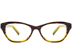 BS2012-3573_Brown_Butterfly_Acetate_Glasses_front