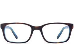 BS2012-3591_Tortoiseshell_Rectangular_Acetate_Glasses_front