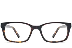 BS2012-3593_Tortoiseshell_Rectangular_Acetate_Glasses_front
