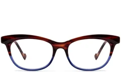 BS2012-3613_Pattern_Butterfly_Acetate_Glasses_front