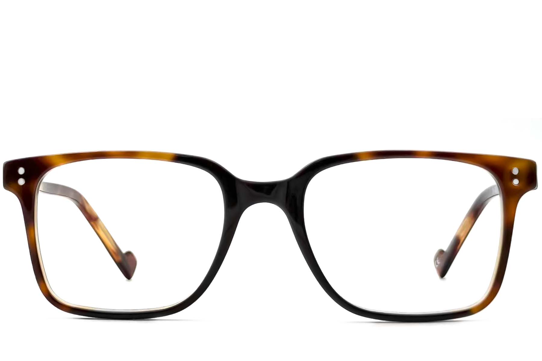 BS2012-3637_Tortoiseshell_Rectangular_Acetate_Glasses_front