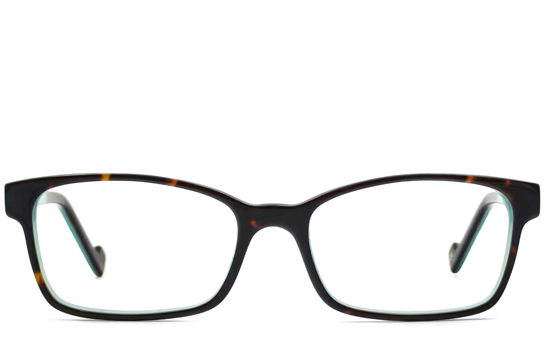 BS2012-3641_Tortoiseshell_Butterfly_Acetate_Glasses_front