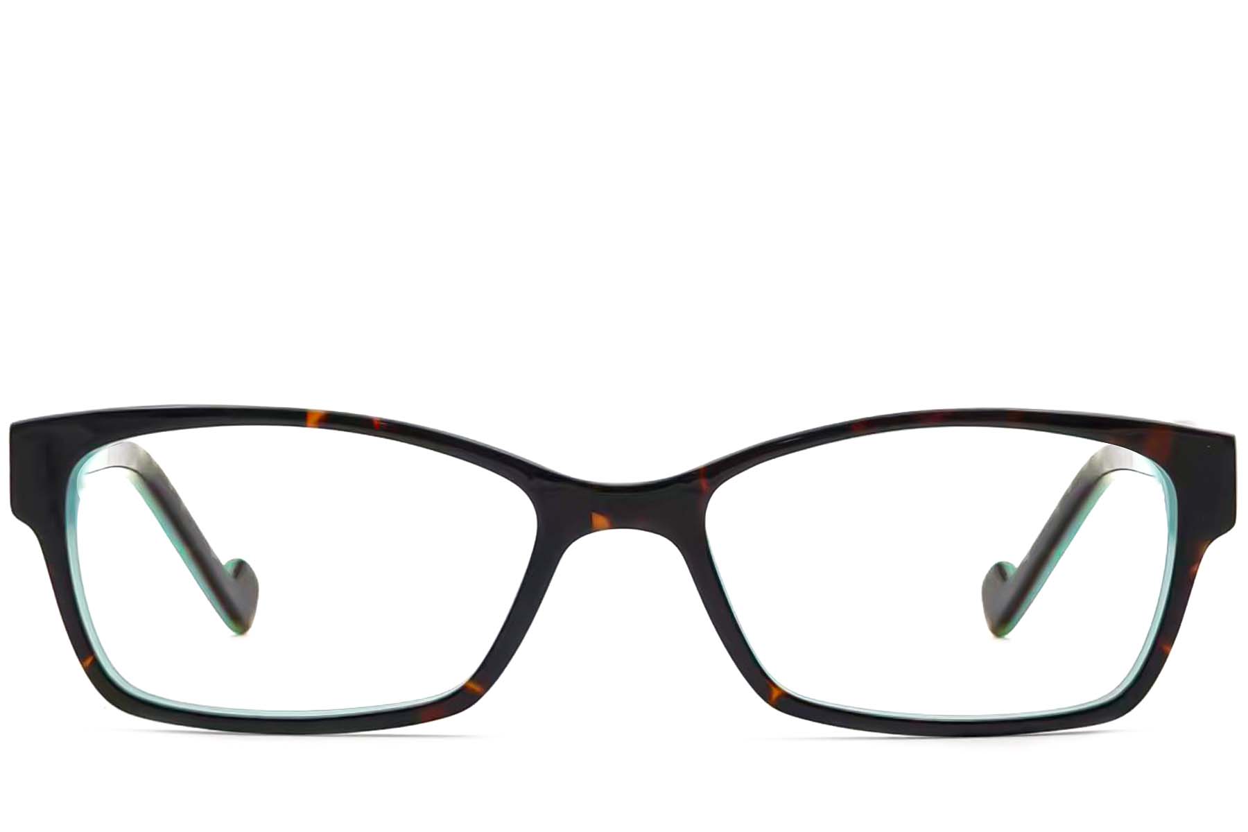 BS2012-3644_Tortoiseshell_Butterfly_Acetate_Glasses_front