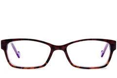BS2012-3645_Brown_Butterfly_Acetate_Glasses_front