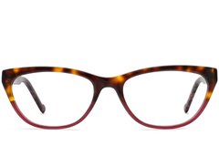 BS2012-3649_Brown_Butterfly_Acetate_Glasses_front